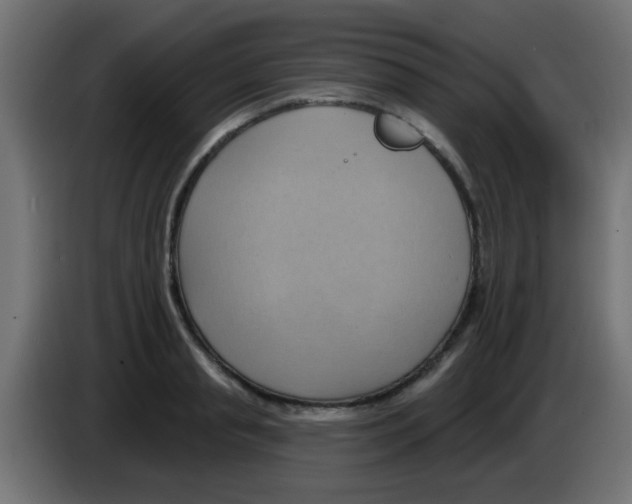 X0000083040845200703022047