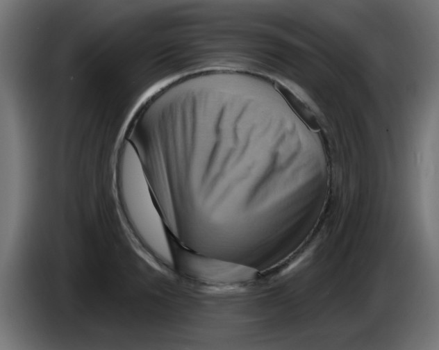 X0000083040846200703022047