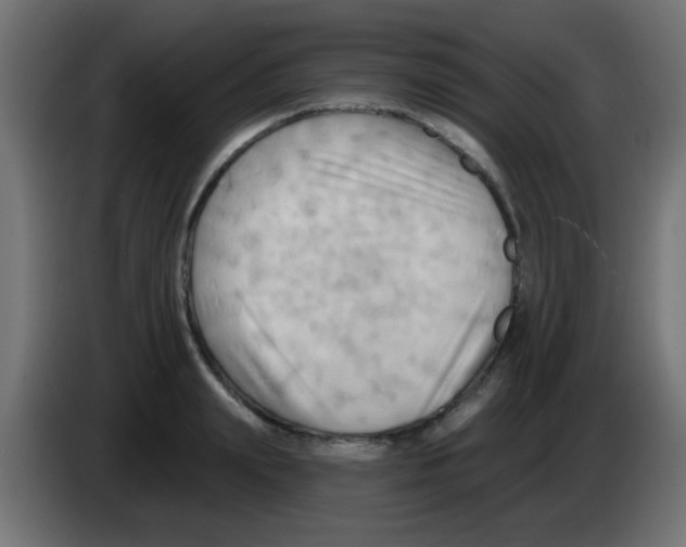 X0000083040847200703022047