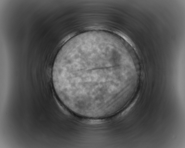 X0000083040849200703022047