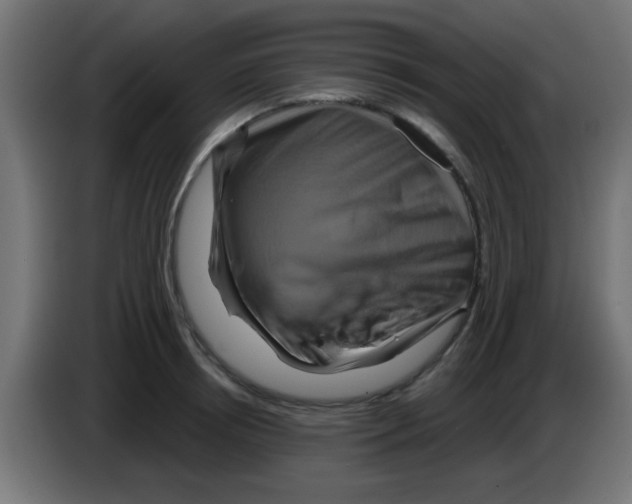 X0000083040850200703022047