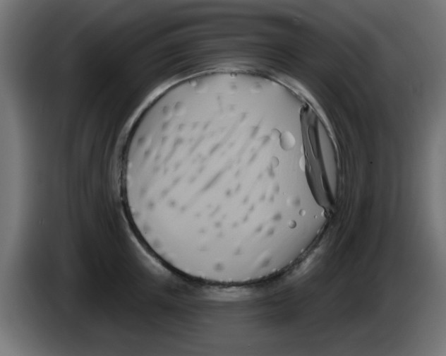 X0000083040851200703022047
