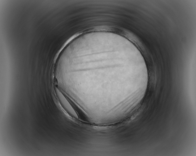 X0000083040852200703022047