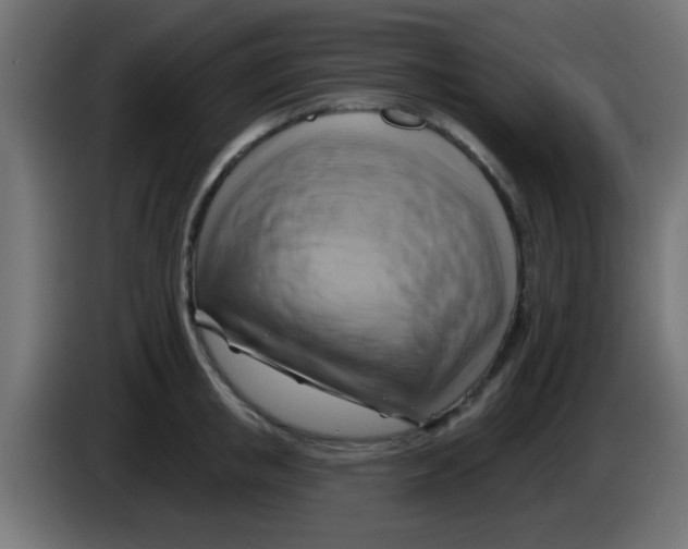 X0000083040853200703022047