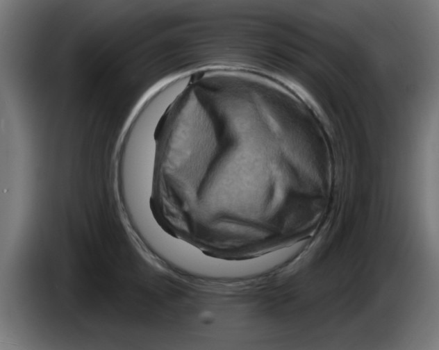X0000083040854200703022047