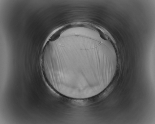 X0000083040855200703022047