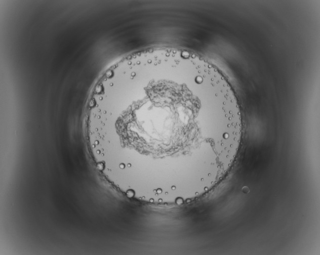 X0000083040856200703022047