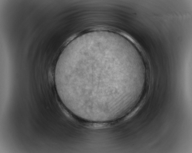 X0000083040857200703022047