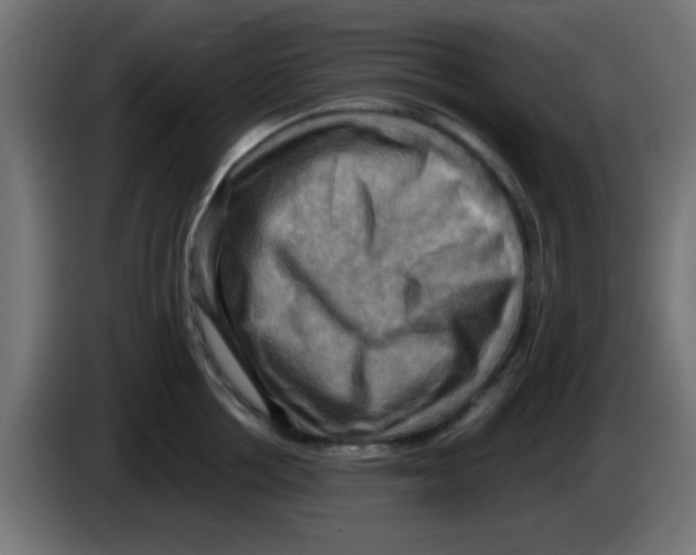 X0000083040858200703022047