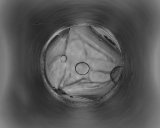 X0000083040859200703022047