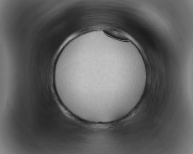 X0000083040861200703022047