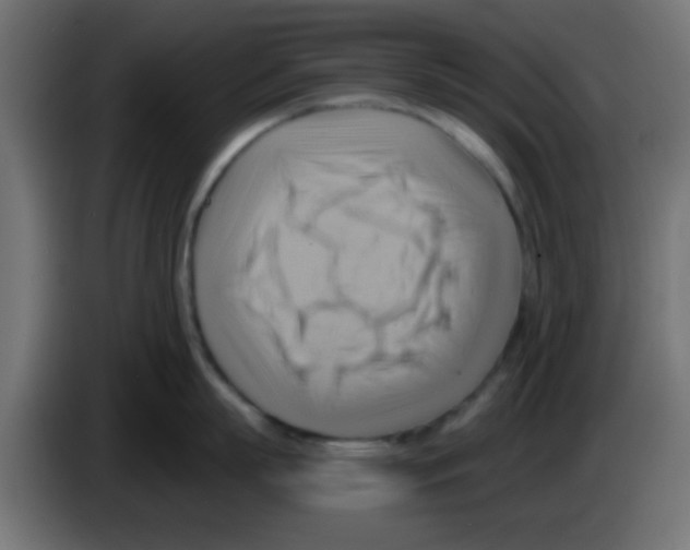 X0000083040863200703022047