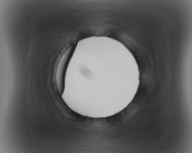 X0000083040865200703022046
