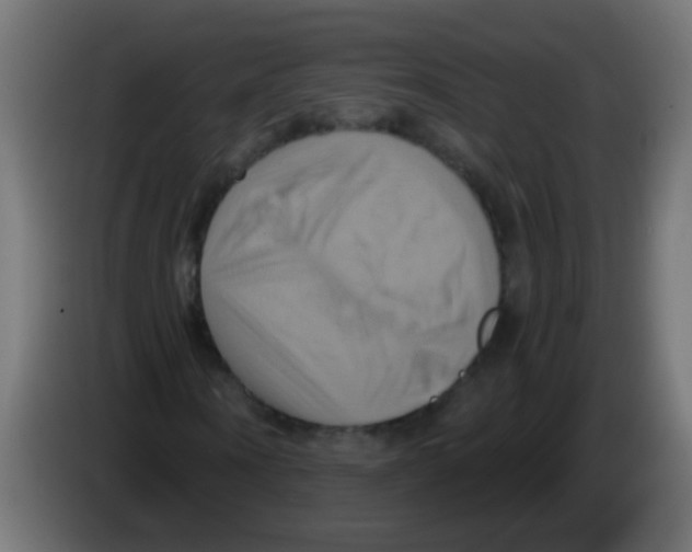 X0000083040866200703022046