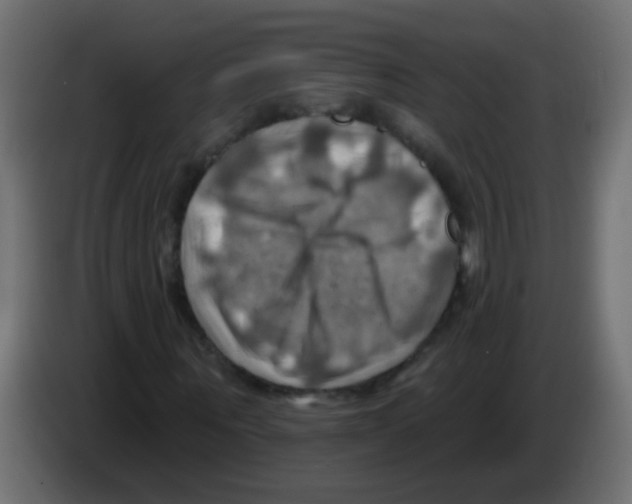 X0000083040867200703022046