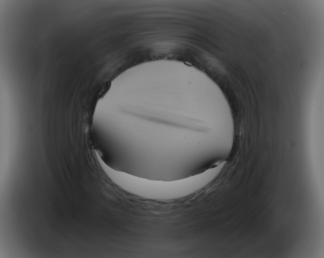 X0000083040868200703022046