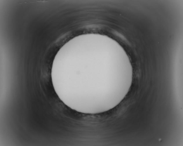 X0000083040869200703022046