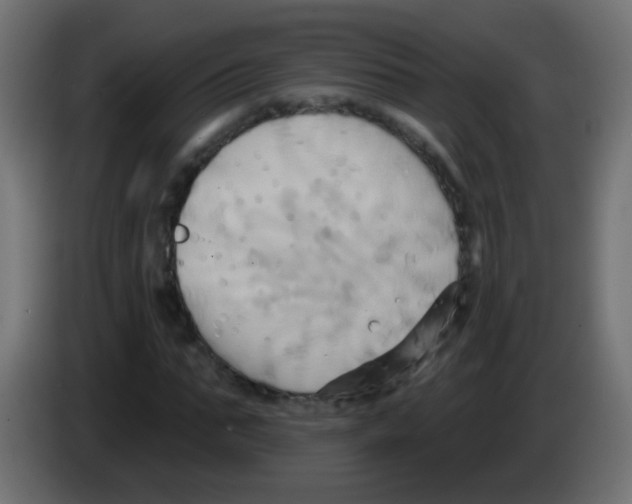 X0000083040871200703022046
