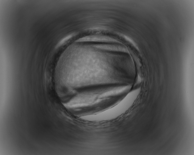 X0000083040872200703022046