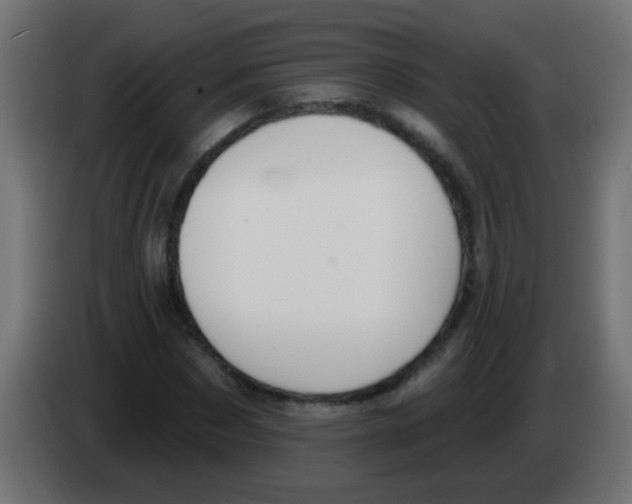 X0000083040873200703022046