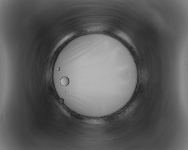 X0000083040874200703022046