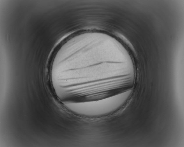 X0000083040876200703022046