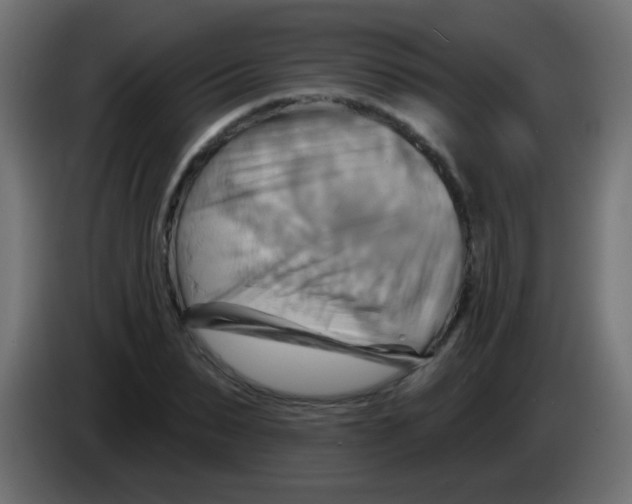 X0000083040879200703022046