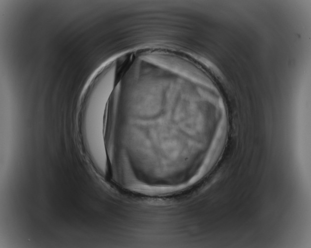 X0000083040880200703022046