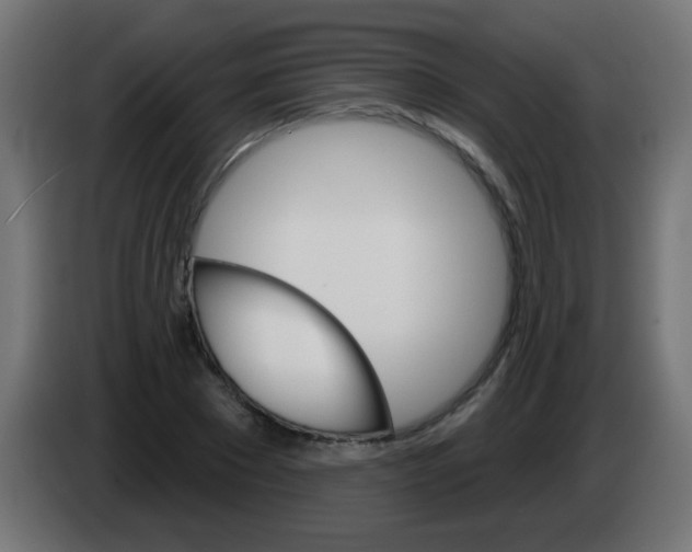 X0000083040881200703022046