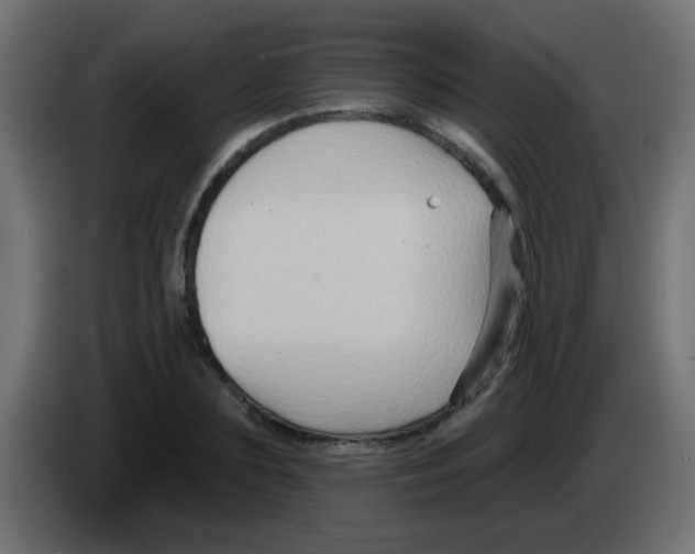 X0000083040883200703022046
