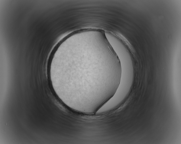 X0000083040884200703022046