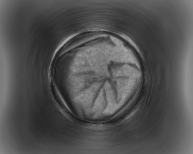 X0000083040885200703022046