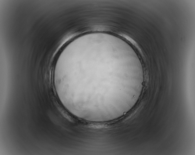 X0000083040886200703022046