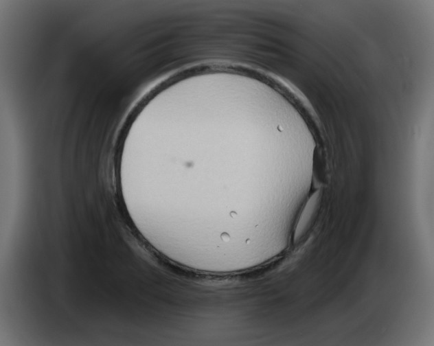 X0000083040887200703022046