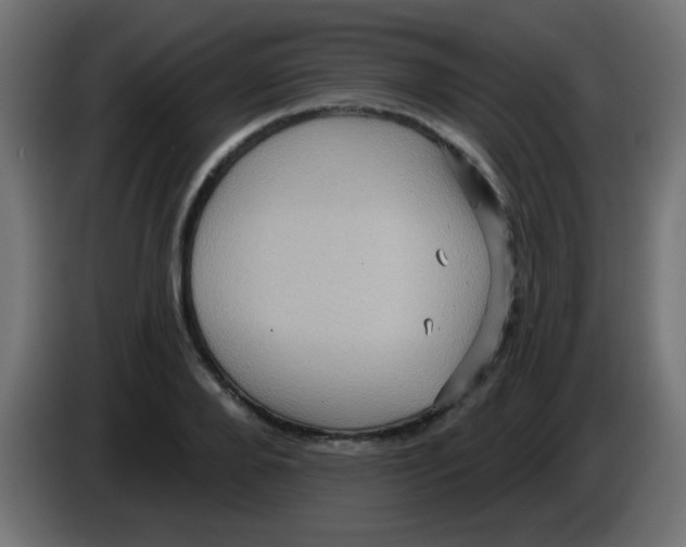 X0000083040888200703022046