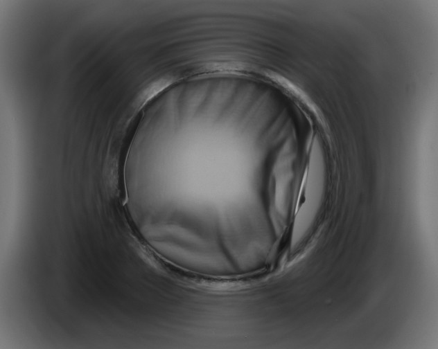 X0000083040889200703022046