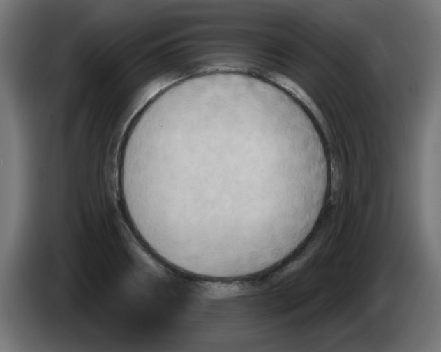 X0000083040890200703022046