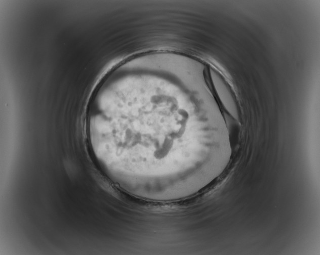 X0000083040891200703022046
