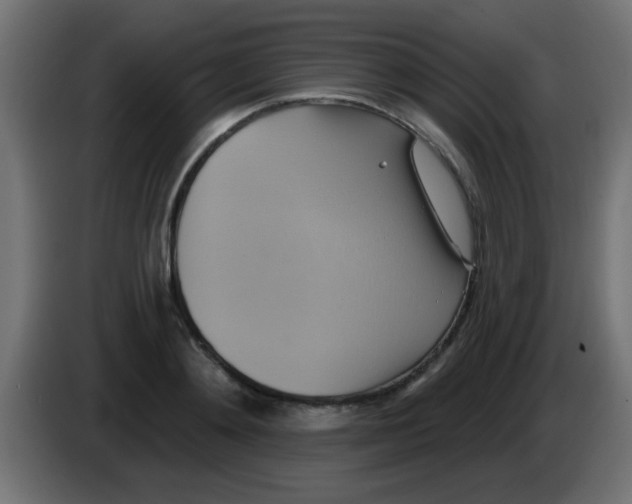 X0000083040892200703022046