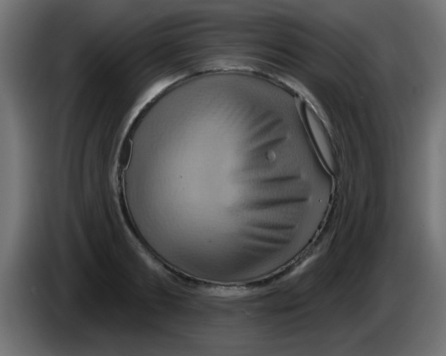 X0000083040893200703022046