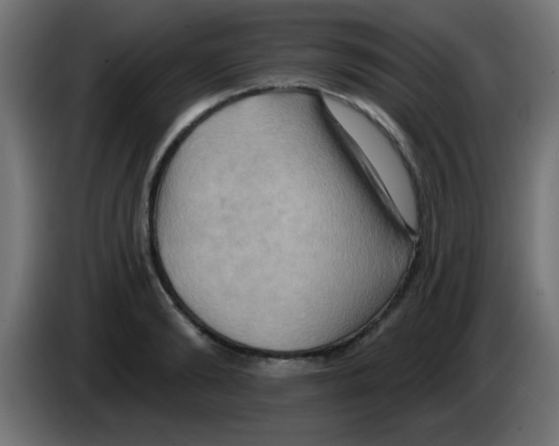 X0000083040894200703022046
