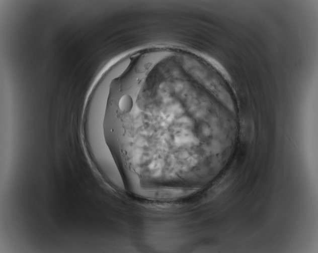 X0000083040895200703022046