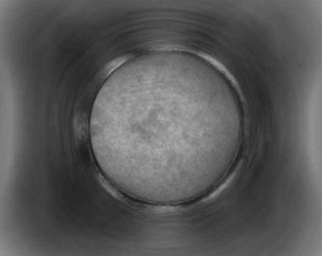 X0000083040897200703022046