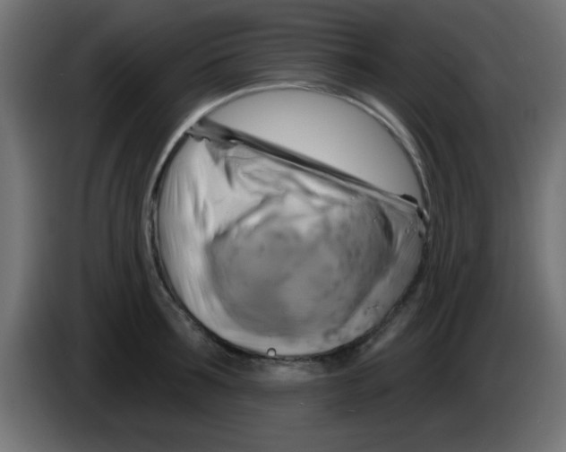 X0000083040899200703022046