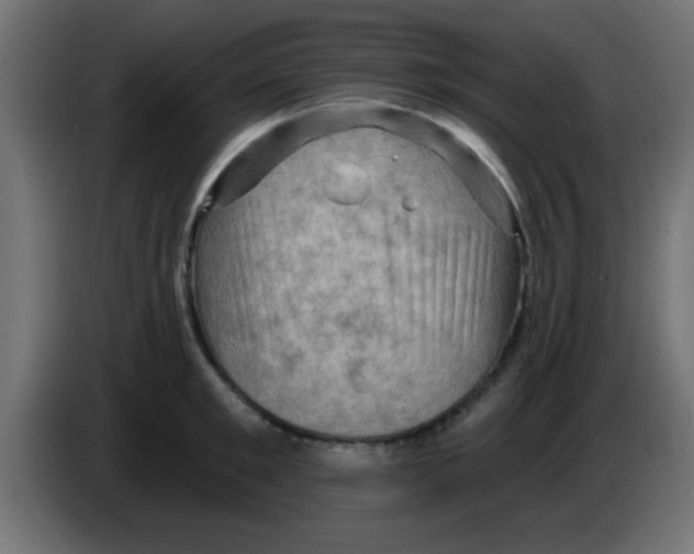 X0000083040901200703022046
