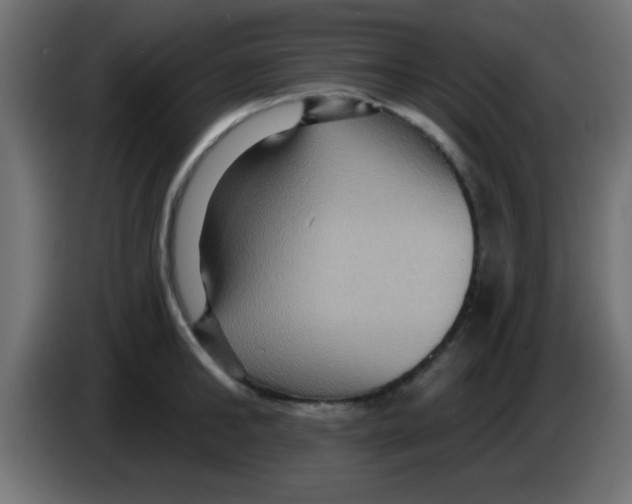 X0000083040902200703022046
