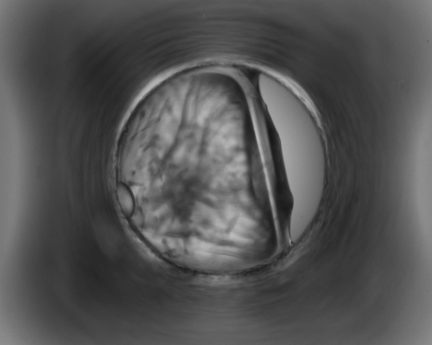 X0000083040903200703022046