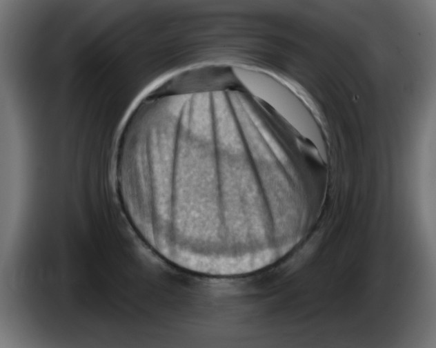 X0000083040904200703022046