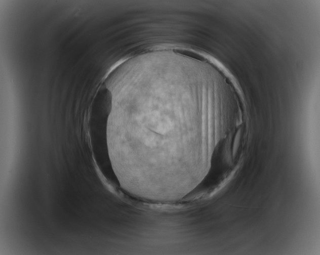 X0000083040905200703022046