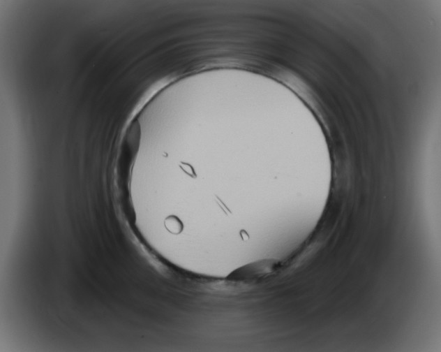 X0000083040906200703022046